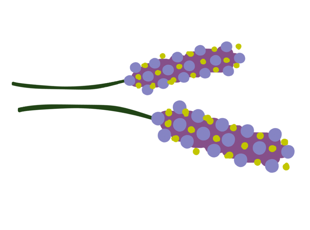 meanderings . . . art journal exploring collage